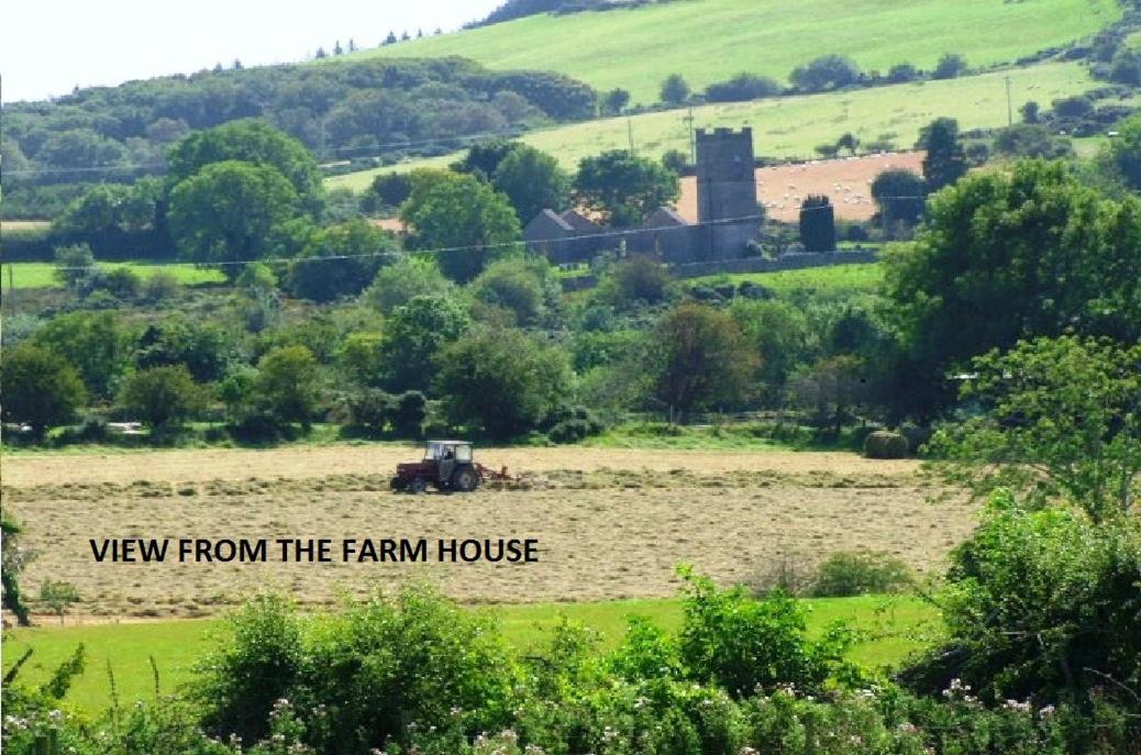 Wonderful Setting Farmhouse Apartment Wicklow Exterior foto